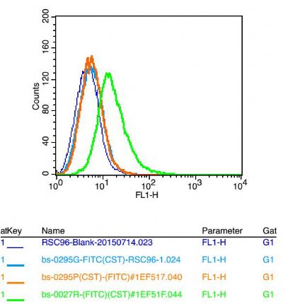 positive control: rsc96    isotype control antibody: rabbit